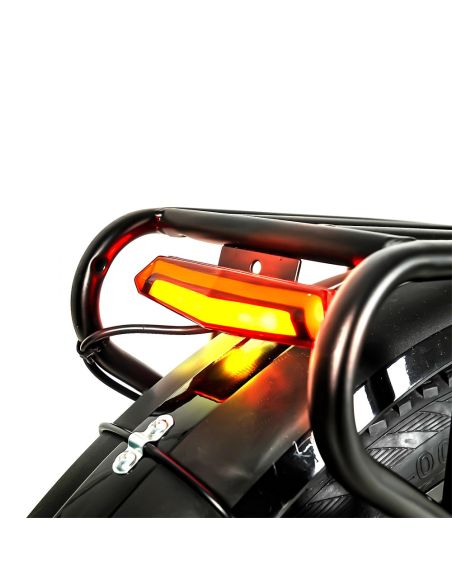 Vélo électrique CMACEWHEEL Y20 20 pouces 750W moteur 48V 15Ah vitesse 40 km/h