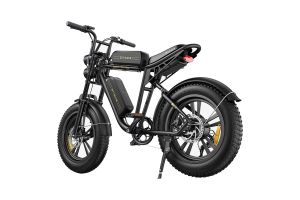 Vélo Électrique ENGWE M20 20 Pouces 48V Double Batterie13AH 750W 45Km/h Noir - Reconditionné 2