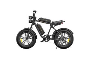 Vélo Électrique ENGWE M20 20 Pouces 48V Double Batterie13AH 750W 45Km/h Noir - Reconditionné