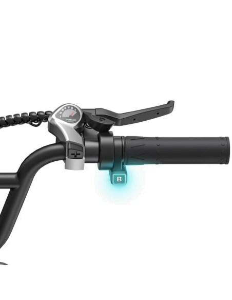 ENGWE L20 Boost rouge Vélo électrique 250W Reconditionné