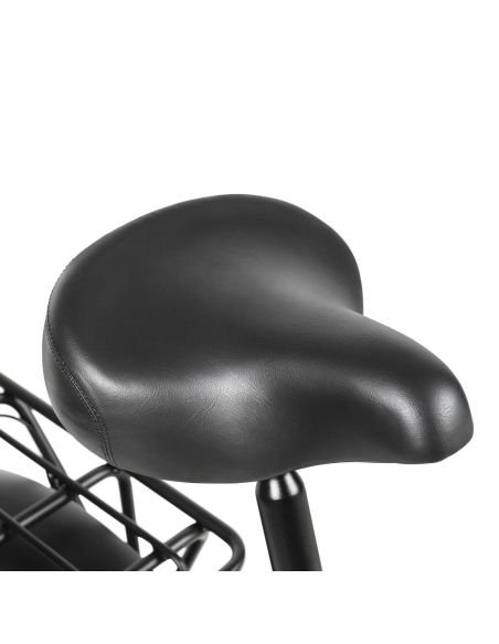 Vélo Électrique SAMEBIKE LOTDM200-II Noir 750W - Reconditionné