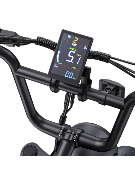 Vélo Électrique ENGWE M1 Bleu Avec 2 batteries 48V 28.6Ah 250W 65NM