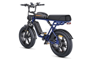 Vélo Électrique ENGWE M1 Bleu Avec 2 batteries 48V 28.6Ah 250W 65NM 2