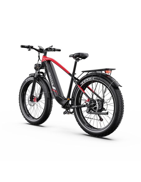 Vélo Electrique DUOTTS F26 Lite Rouge-Noir 26 pouces  48V 18Ah 750W