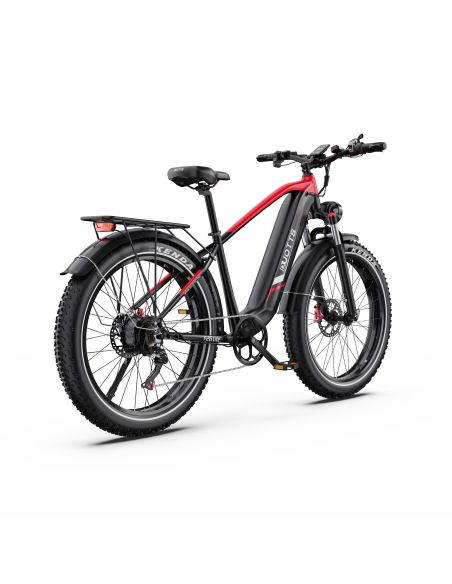 Vélo Electrique DUOTTS F26 Lite Rouge-Noir 26 pouces  48V 18Ah 750W