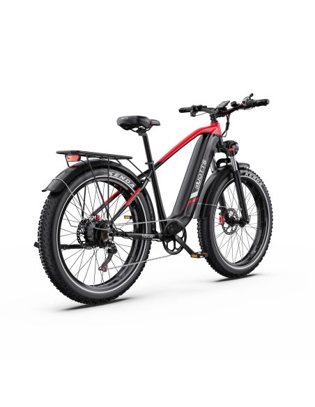 Vélo Electrique DUOTTS F26 Lite Rouge-Noir 26 pouces  48V 18Ah 750W