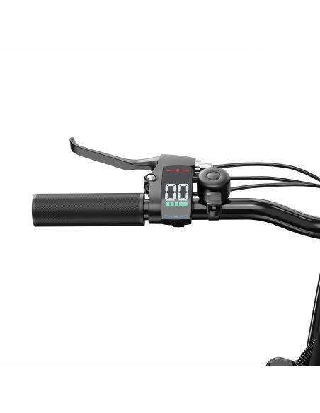 Vélo Électrique Duotts C29 Lite 13AH 250W