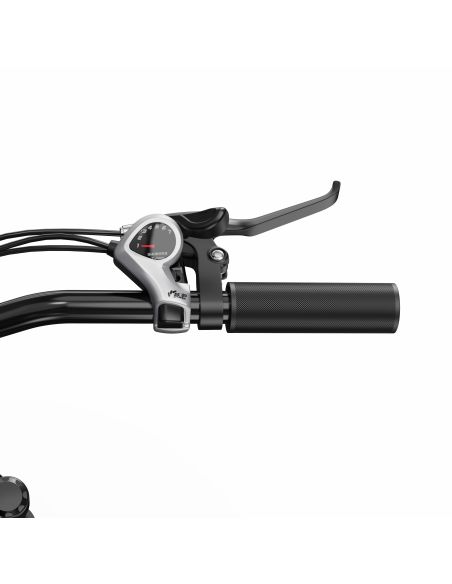 Vélo Électrique Duotts C29 Lite 13AH 250W