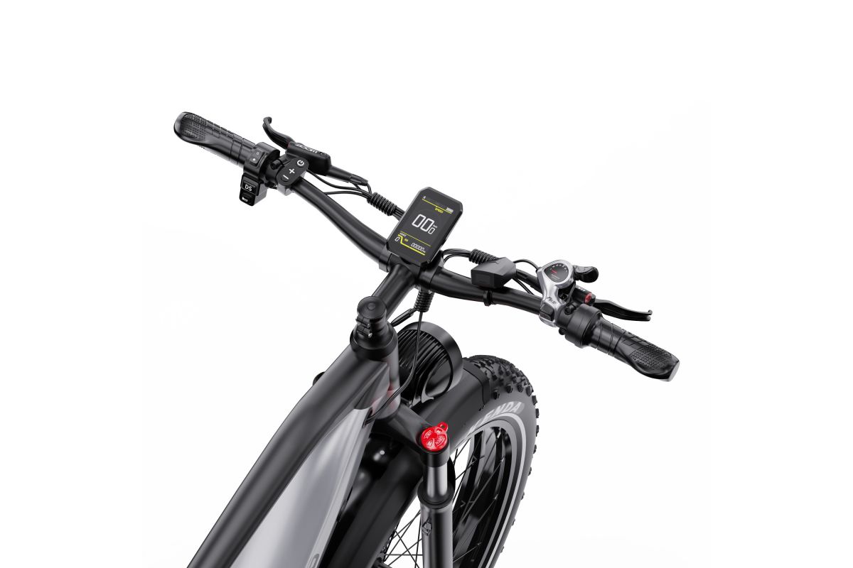 Vélo Electrique DUOTTS F26 Lite Gris 26 pouces  48V 18Ah 750W