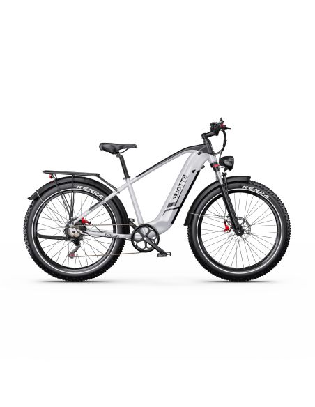 Vélo Electrique DUOTTS F26 Lite Gris 26 pouces  48V 18Ah 750W
