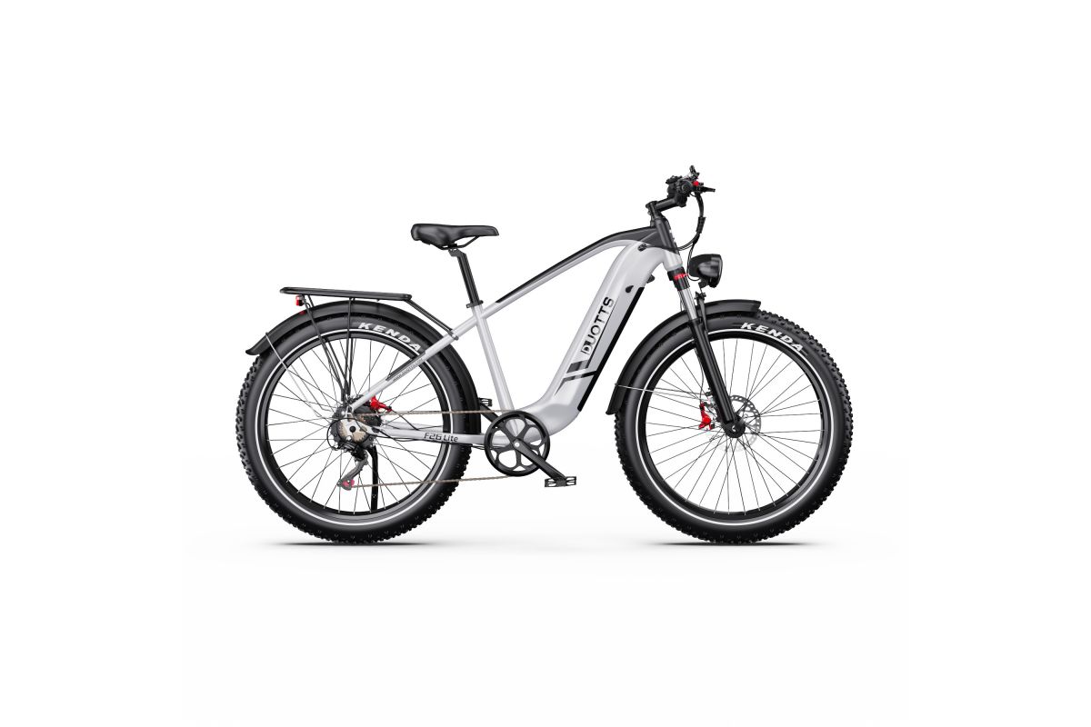 Vélo Electrique DUOTTS F26 Lite Gris 26 pouces  48V 18Ah 750W