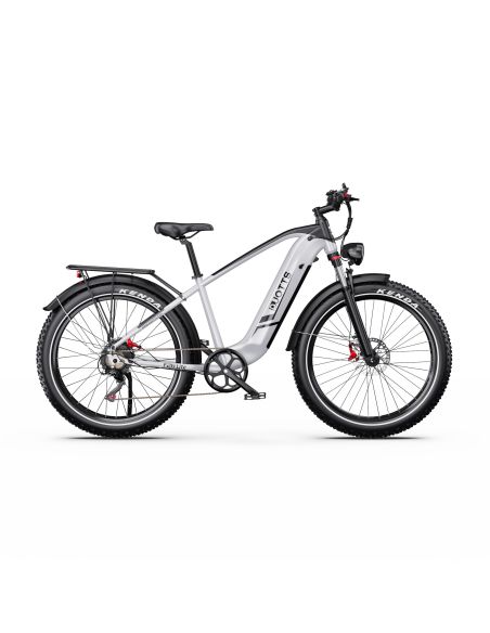 Vélo Electrique DUOTTS F26 Lite Gris 26 pouces  48V 18Ah 750W
