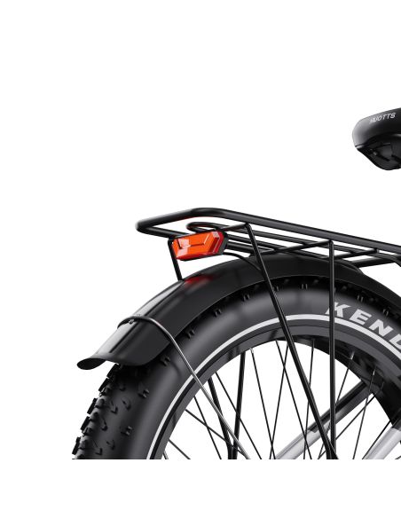 Vélo Electrique DUOTTS F26 Lite Gris 26 pouces  48V 18Ah 750W