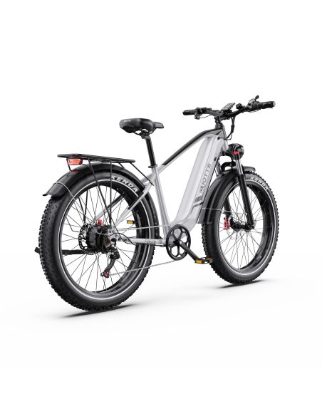 Vélo Electrique DUOTTS F26 Lite Gris 26 pouces  48V 18Ah 750W