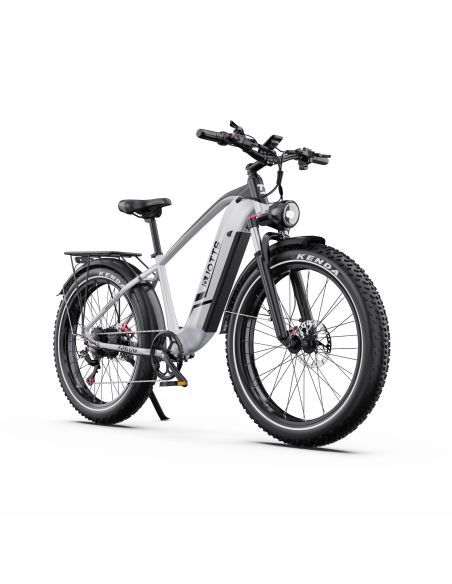 Vélo Electrique DUOTTS F26 Lite Gris 26 pouces  48V 18Ah 750W