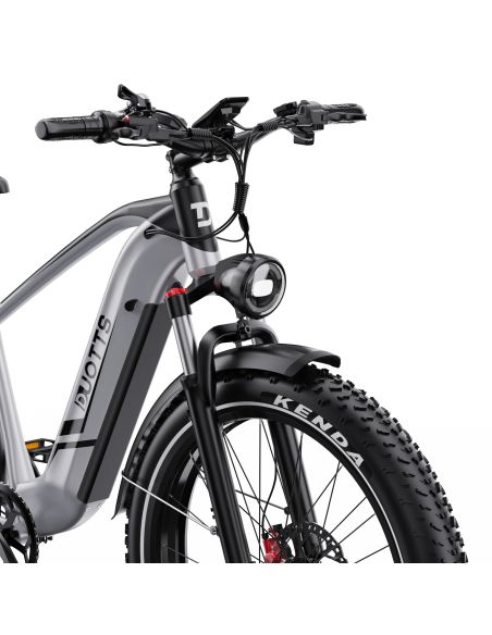 Vélo Electrique DUOTTS F26 Lite Gris 26 pouces  48V 18Ah 750W