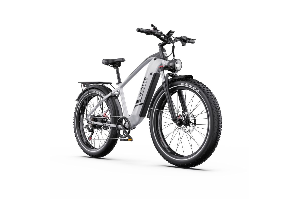 Vélo Electrique DUOTTS F26 Lite Gris 26 pouces  48V 18Ah 750W