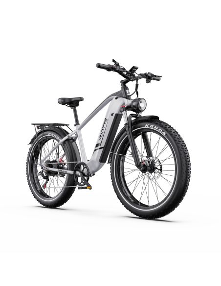 Vélo Electrique DUOTTS F26 Lite Gris 26 pouces  48V 18Ah 750W