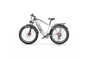 Vélo Electrique DUOTTS F26 Lite Gris 26 pouces  48V 18Ah 750W 2