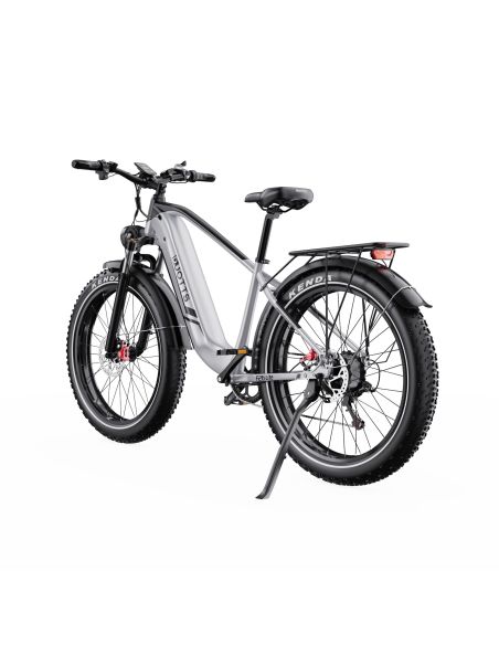 Vélo Electrique DUOTTS F26 Lite Gris 26 pouces  48V 18Ah 750W