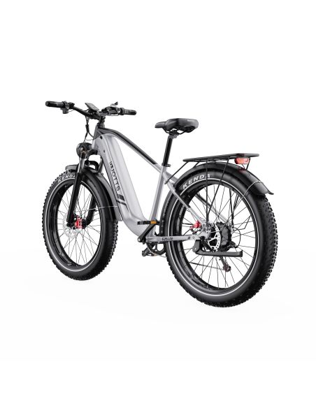 Vélo Electrique DUOTTS F26 Lite Gris 26 pouces  48V 18Ah 750W