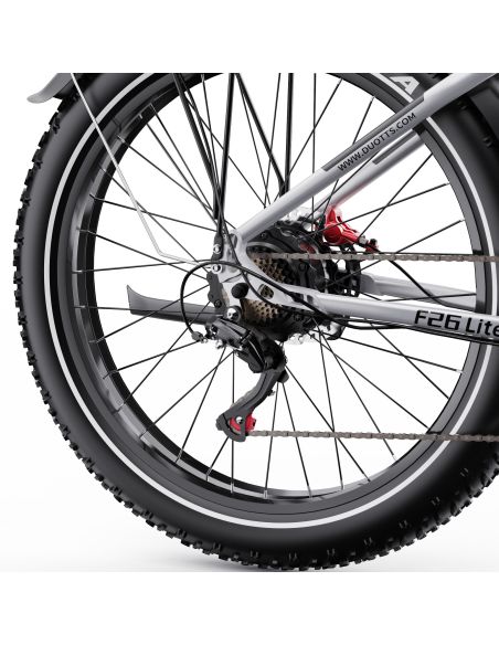 Vélo Electrique DUOTTS F26 Lite Gris 26 pouces  48V 18Ah 750W