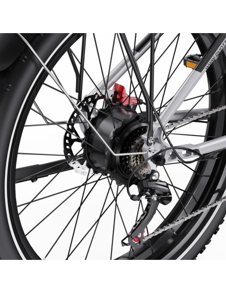 Vélo Electrique DUOTTS F26 Lite Gris 26 pouces  48V 18Ah 750W
