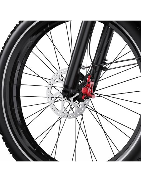 Vélo Electrique DUOTTS F26 Lite Gris 26 pouces  48V 18Ah 750W