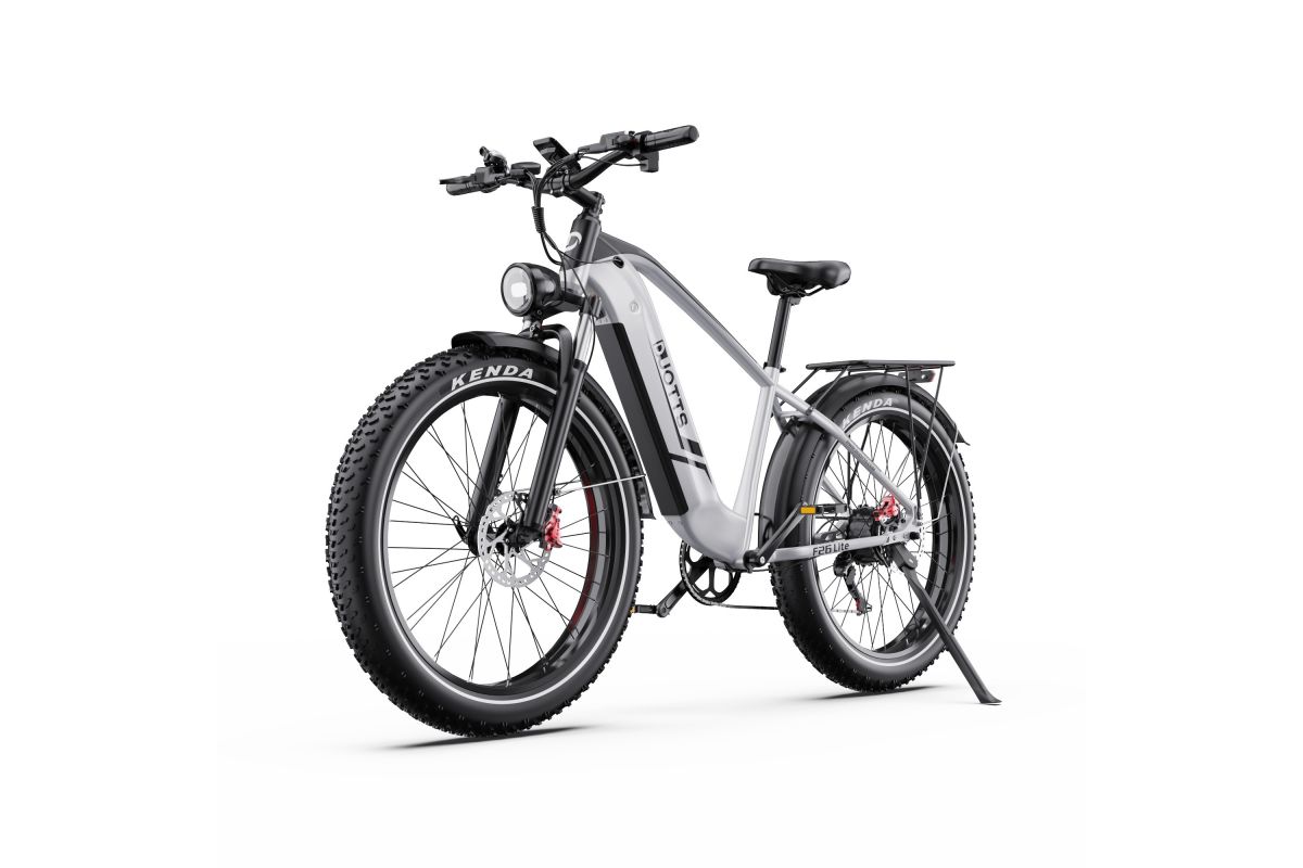 Vélo Electrique DUOTTS F26 Lite Gris 26 pouces  48V 18Ah 750W