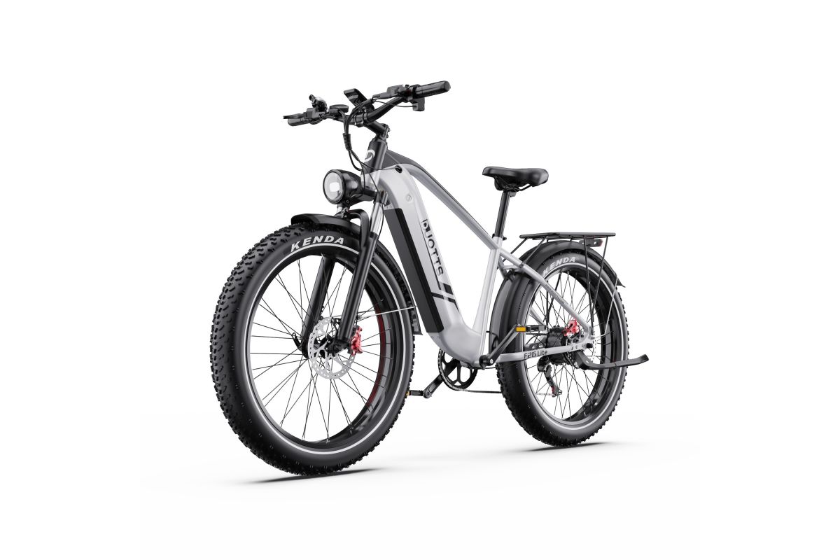 Vélo Electrique DUOTTS F26 Lite Gris 26 pouces  48V 18Ah 750W