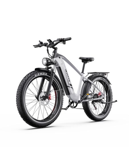 Vélo Electrique DUOTTS F26 Lite Gris 26 pouces  48V 18Ah 750W