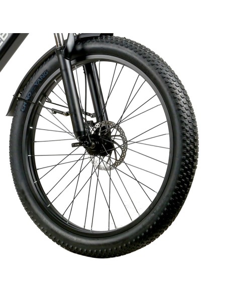 Vélo Électrique 26 Pouces 750W SAMEBIKE RS-A01 Noir