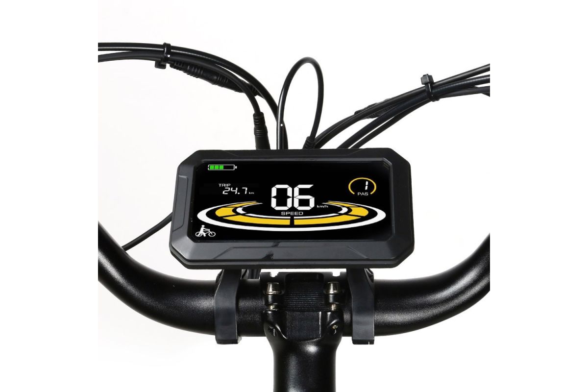 Vélo Électrique 26 Pouces 750W SAMEBIKE RS-A01 Noir
