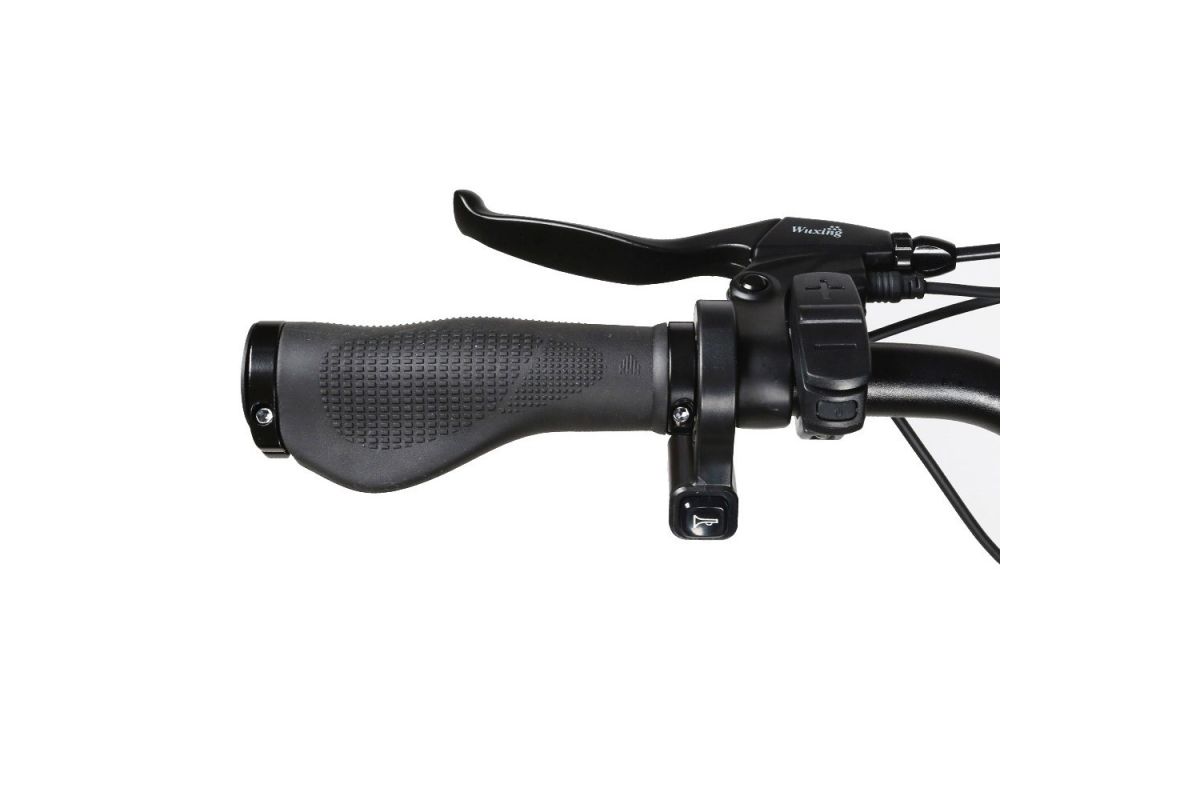 Vélo Électrique 26 Pouces 750W SAMEBIKE RS-A01 Noir
