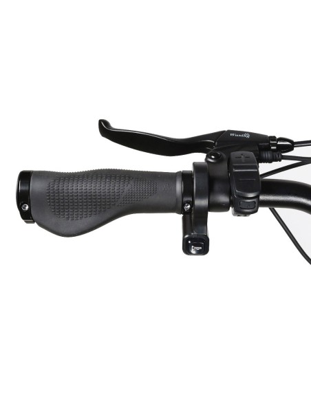 Vélo Électrique 26 Pouces 750W SAMEBIKE RS-A01 Noir