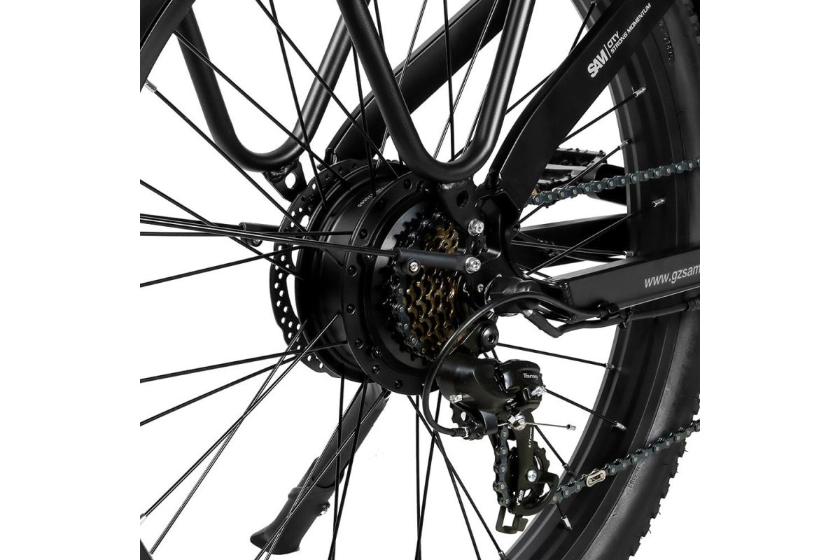 Vélo Électrique 26 Pouces 750W SAMEBIKE RS-A01 Noir