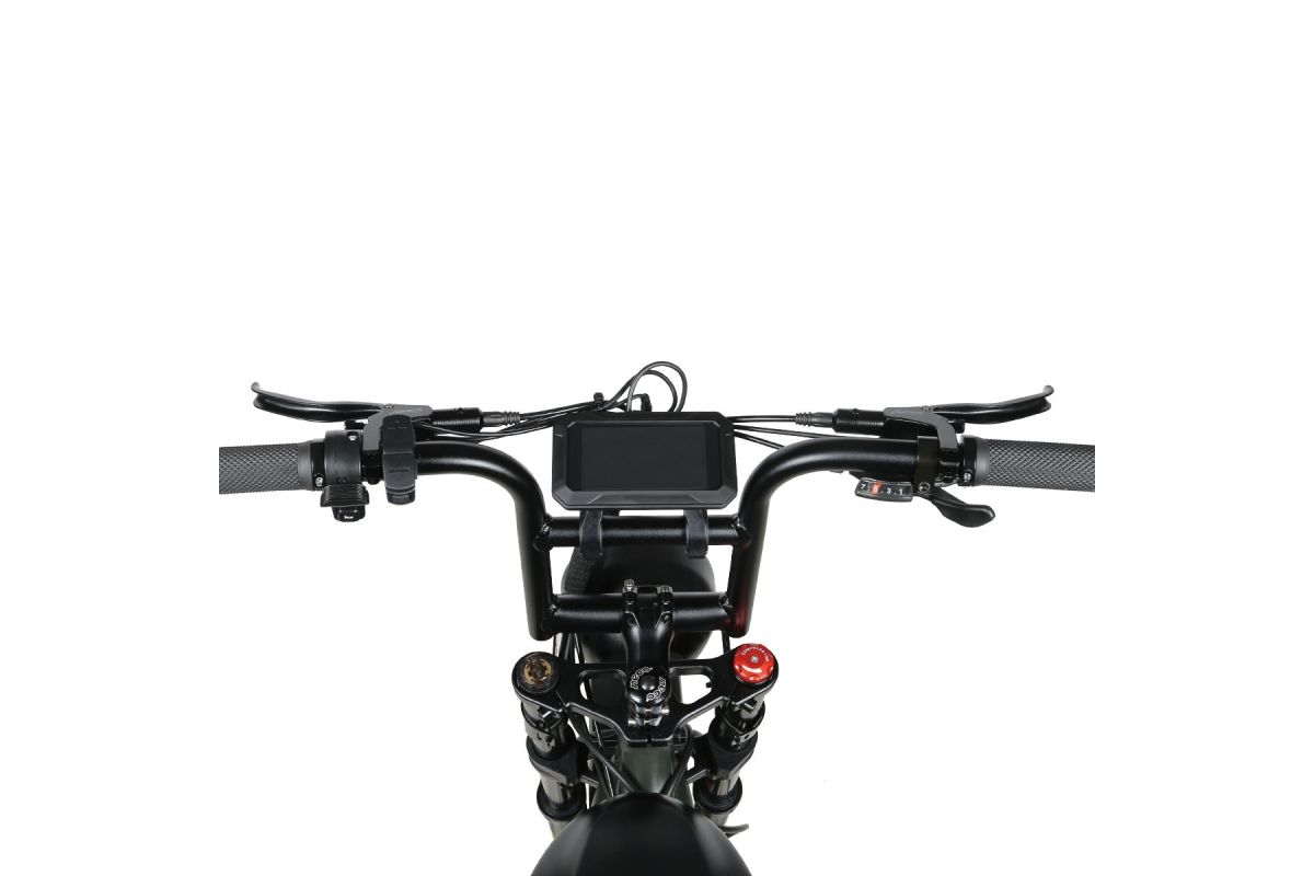 Vélo Électrique SAMEBIKE M20-III VERT 1000W-1200W EN CRETE Version double moteurs