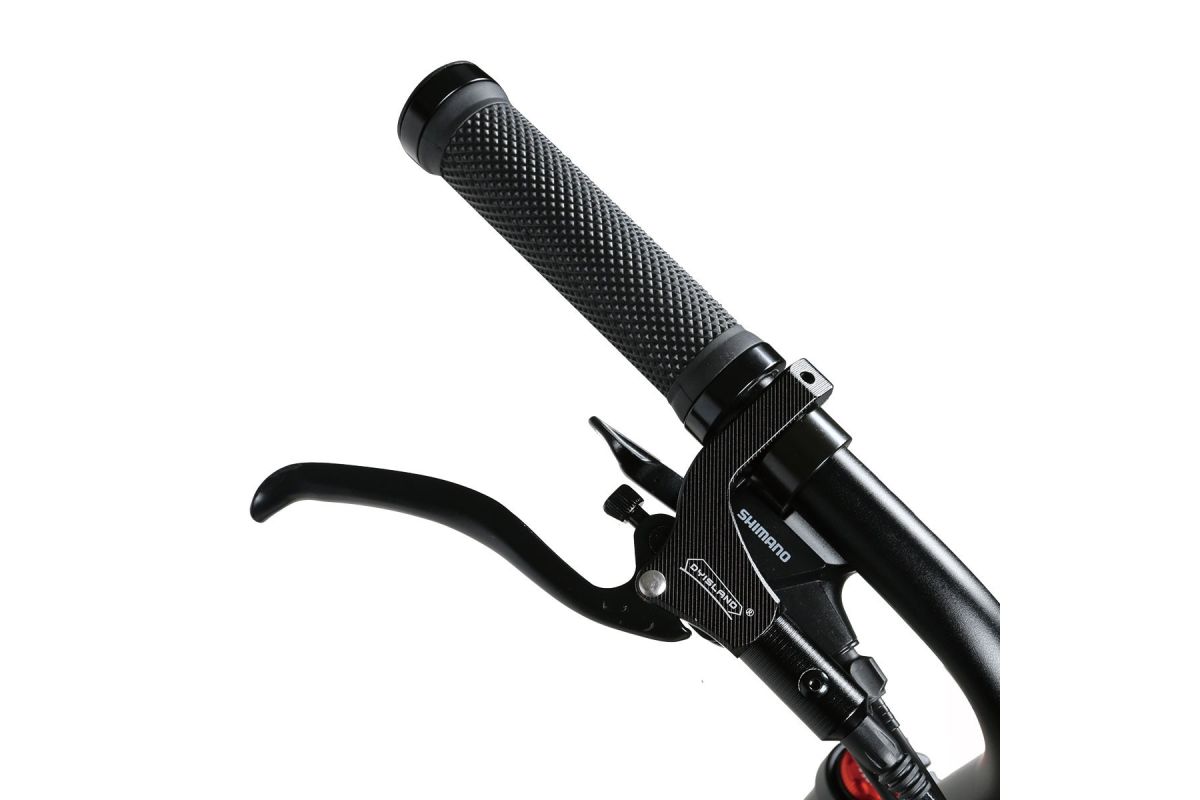 Vélo Électrique SAMEBIKE M20-III VERT 1000W-1200W EN CRETE Version double moteurs