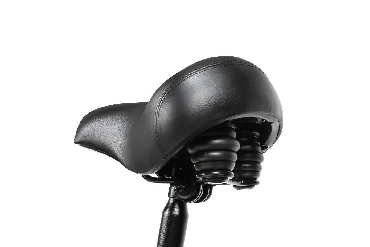 Vélo Électrique SAMEBIKE LOTDM200-II Noir 750W