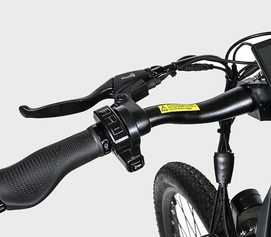 ebuy easy samebike my275 500W