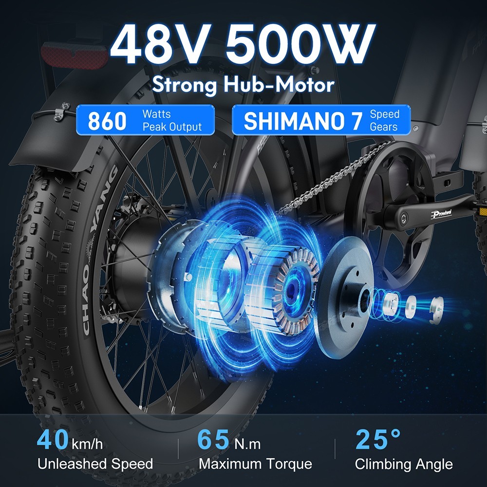 FAFRES FF20 Polar E-Bike 40Km/h 500W 48V 10.4AH Double Batterie Bleu