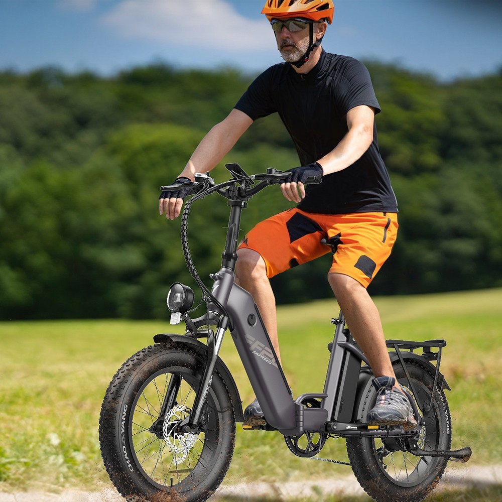 FAREES FF20 Polar E-Bike 40Km/h 500W 48V 10.4AH Double Batterie Gris