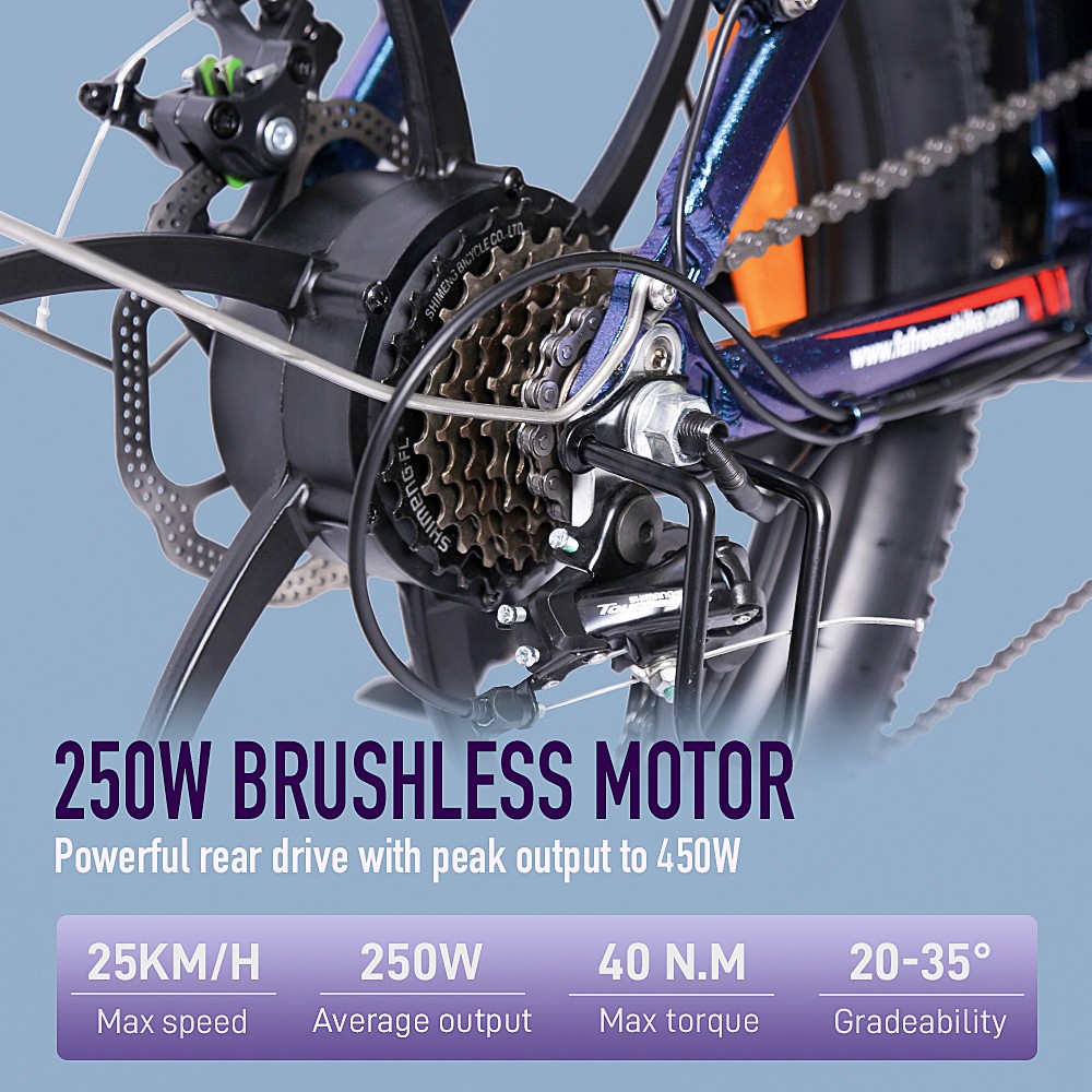 FA FREES F20 Pro Vélo Électrique 20 Pouces 25Km/h 36V 18AH 250W - Gris