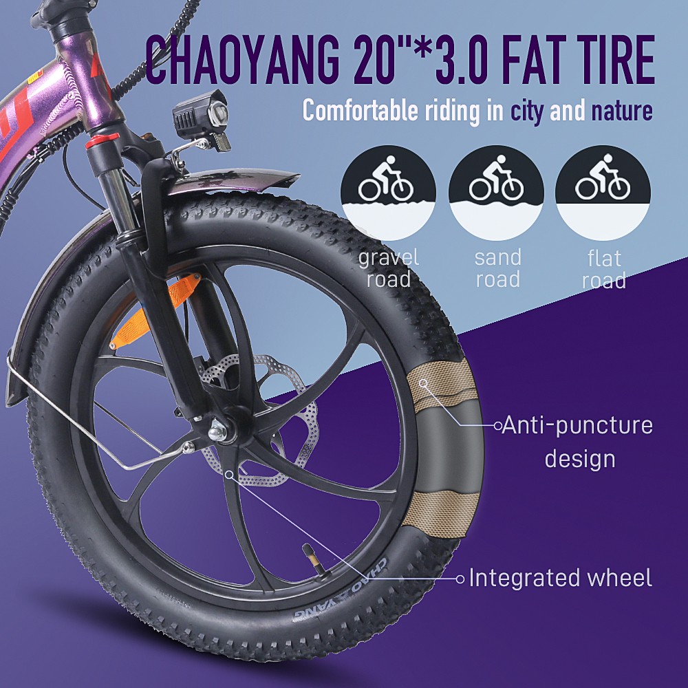 FA FREES F20 Pro Vélo Électrique 20 Pouces 25Km/h 36V 18AH 250W - Violet